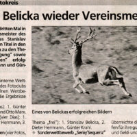 2003-01-15-Schwaebische-Zeitung-