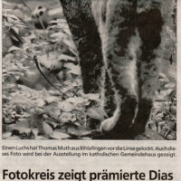 2004-12-08-Schwaebische-Zeitung-