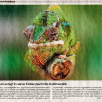 2005-12-05_Schwäbische-Zeitung-