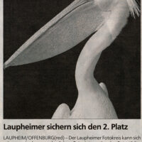 2006-06-14-Laupheimer-Anzeiger